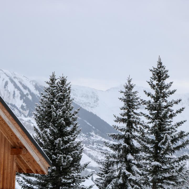 Chalet avec sapins enneigés