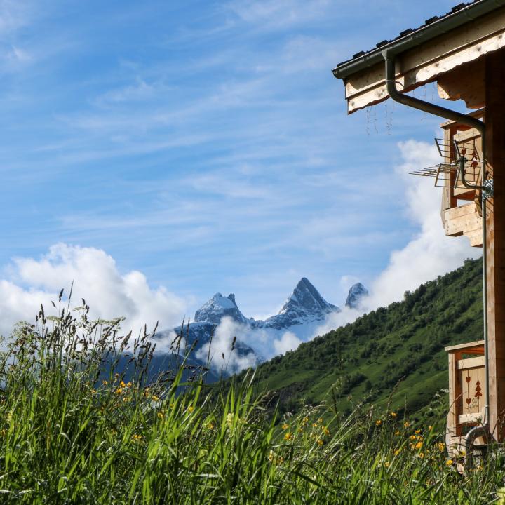Champs fleuri avec chalet face aux Aiguilles d'Arves