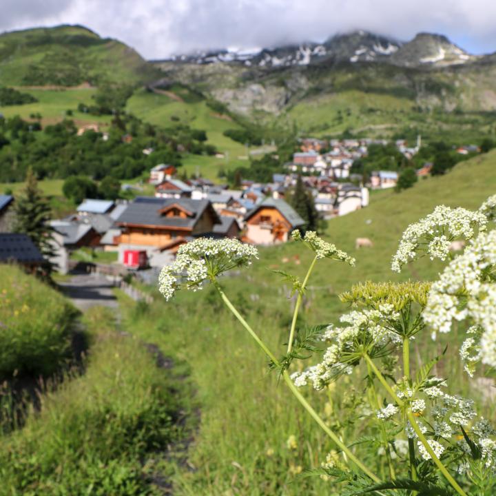 Saint Sorlin d'Arves en été depuis les champs fleuris