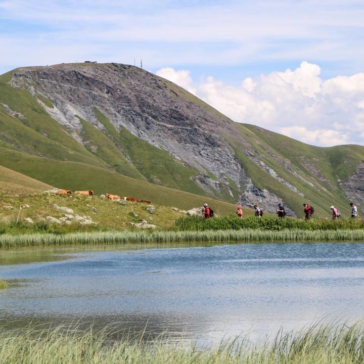 Randonneurs avec un guide face au lac Laitelet