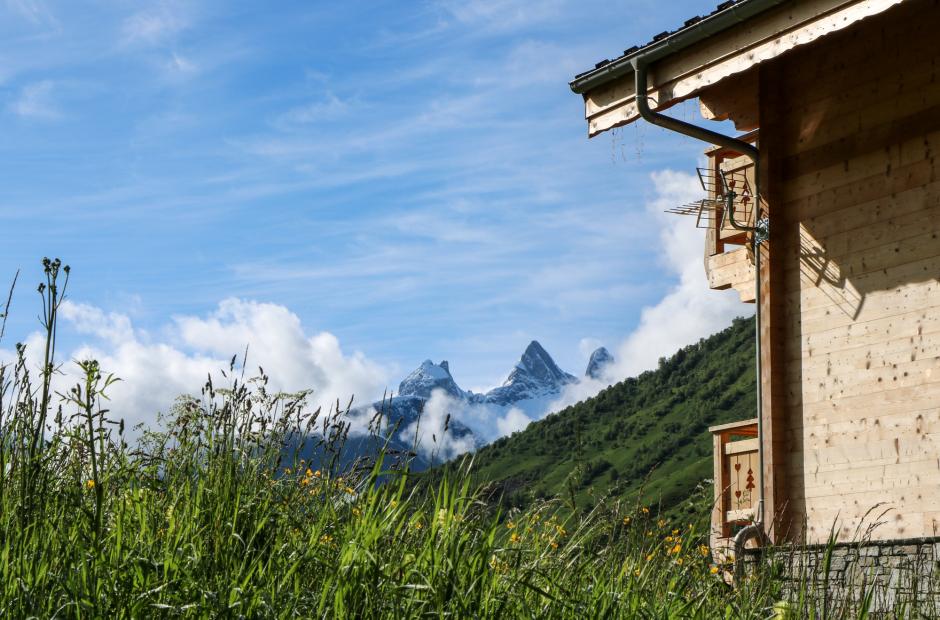 Champs fleuri avec chalet face aux Aiguilles d'Arves