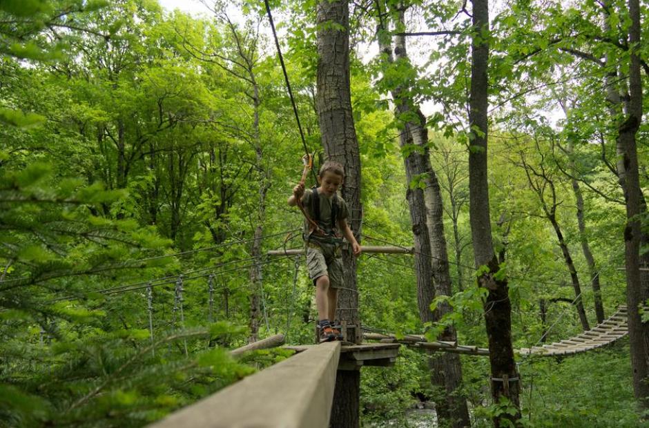 Arvanture - Parcours Forestier