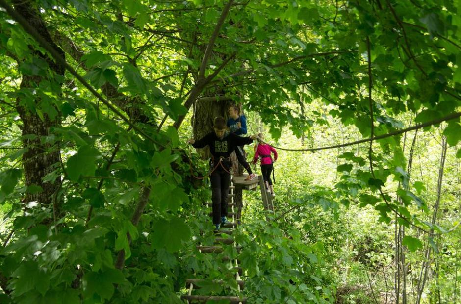 Arvanture - Parcours Forestier