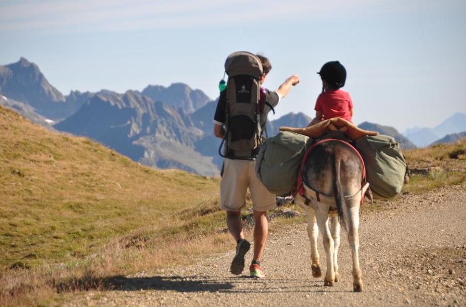 Anes en Montagne - Randonnée avec un âne de bât
