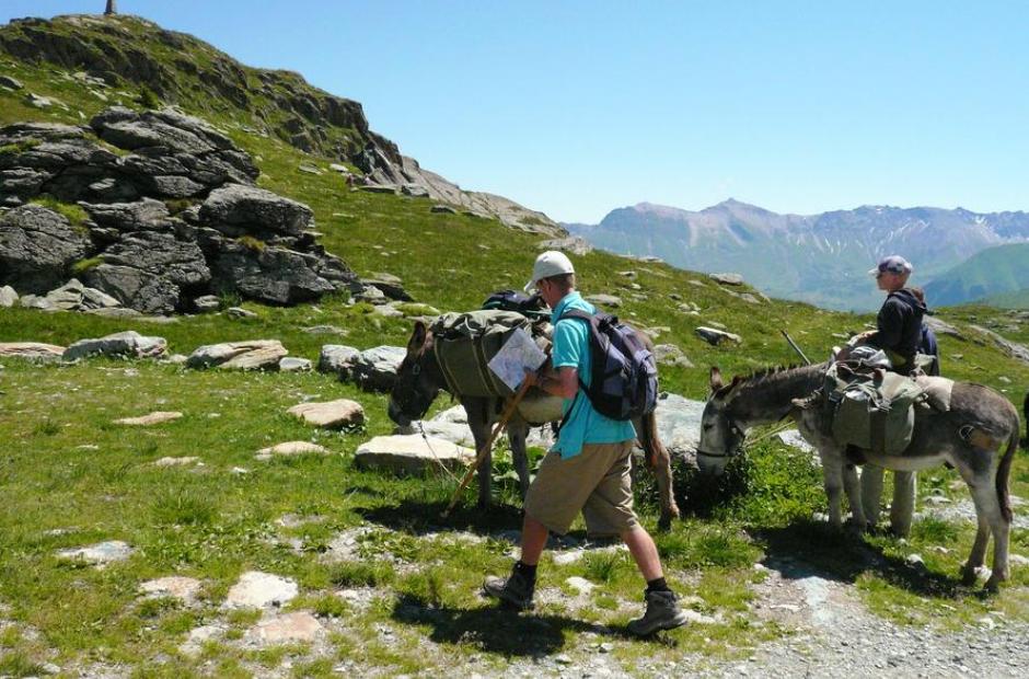 Anes en Montagne - Randonnée avec des ânes de bât