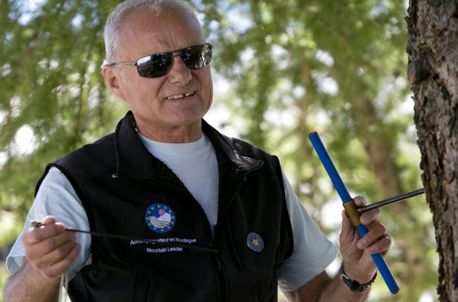 Sylvothérapie - Sylvothérapie