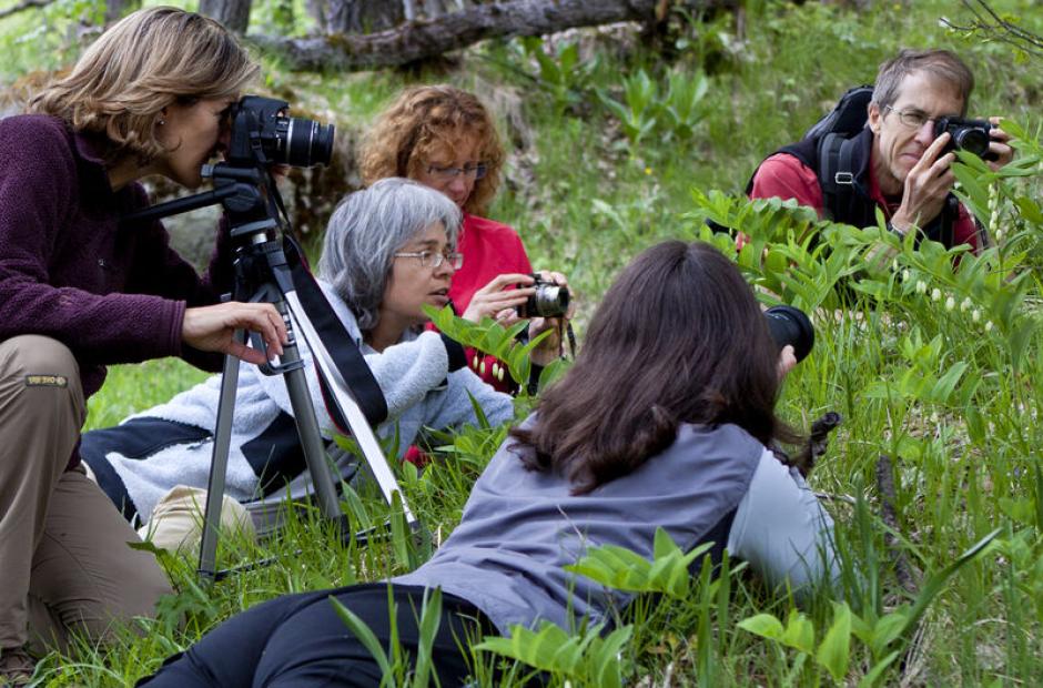 Stage photo - Stage photo