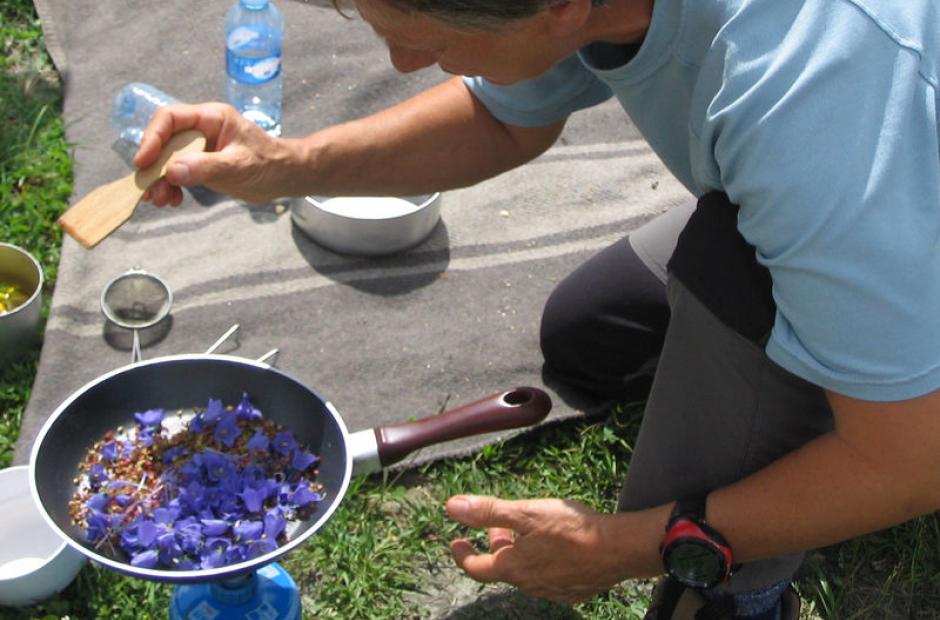 Usage culinaire des plantes de montagne