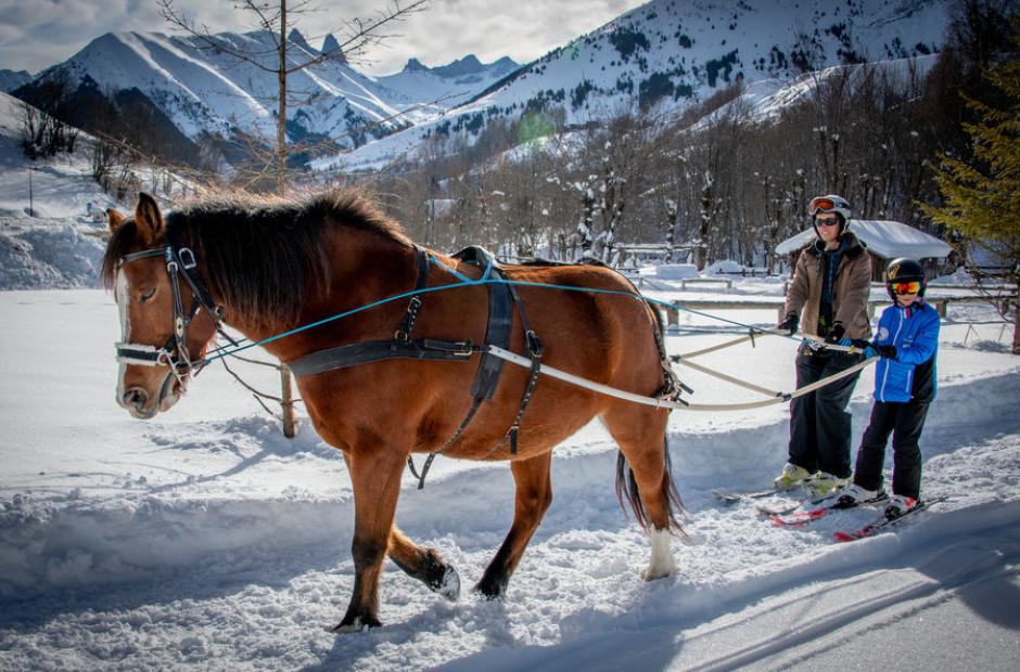 Cavaliers des Arves - Cavaliers des Arves