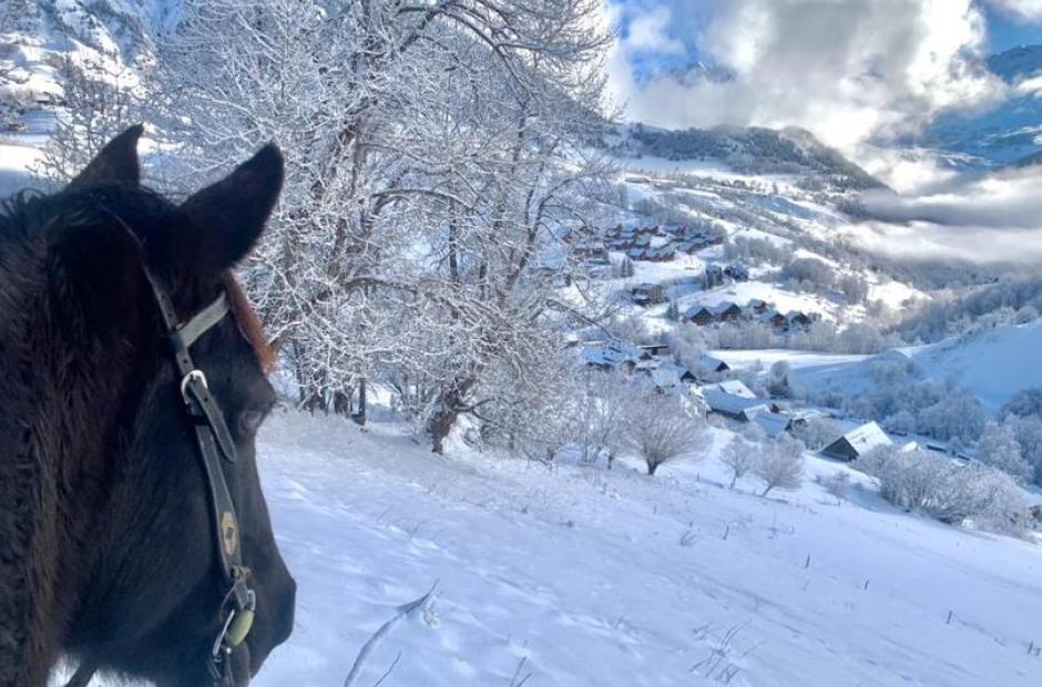 Randonnées et balades à cheval