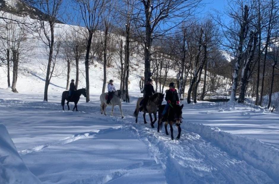 Randonnées et balades à cheval