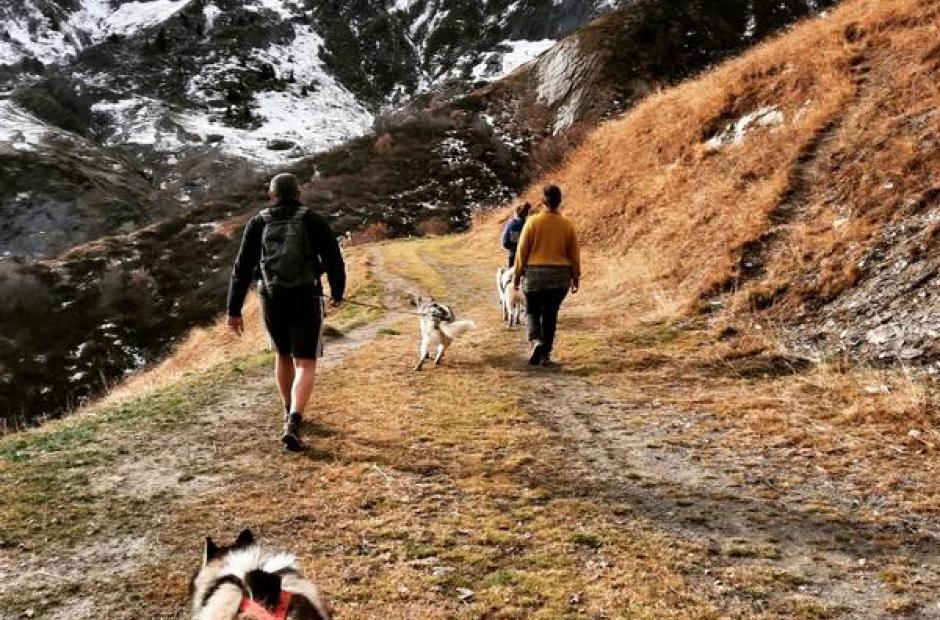 Balade cani-rando - Balade cani-rando Balade cani-rando - Balade cani-rando
