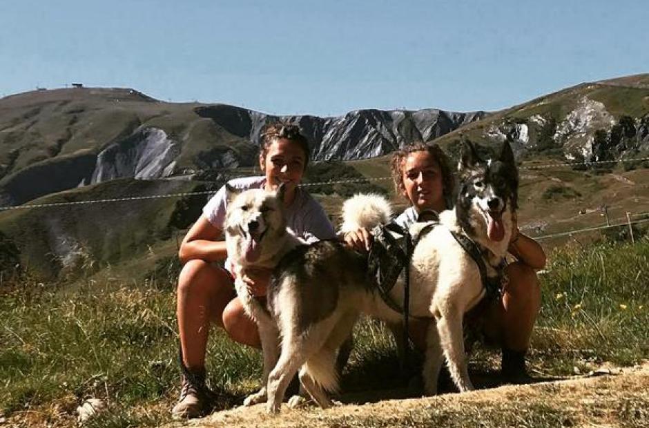 Balade cani-rando - Balade cani-rando Balade cani-rando - Balade cani-rando