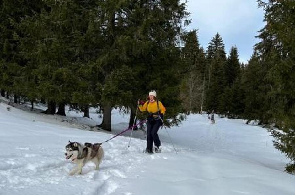 Cani-raquettes - Sortie hiver