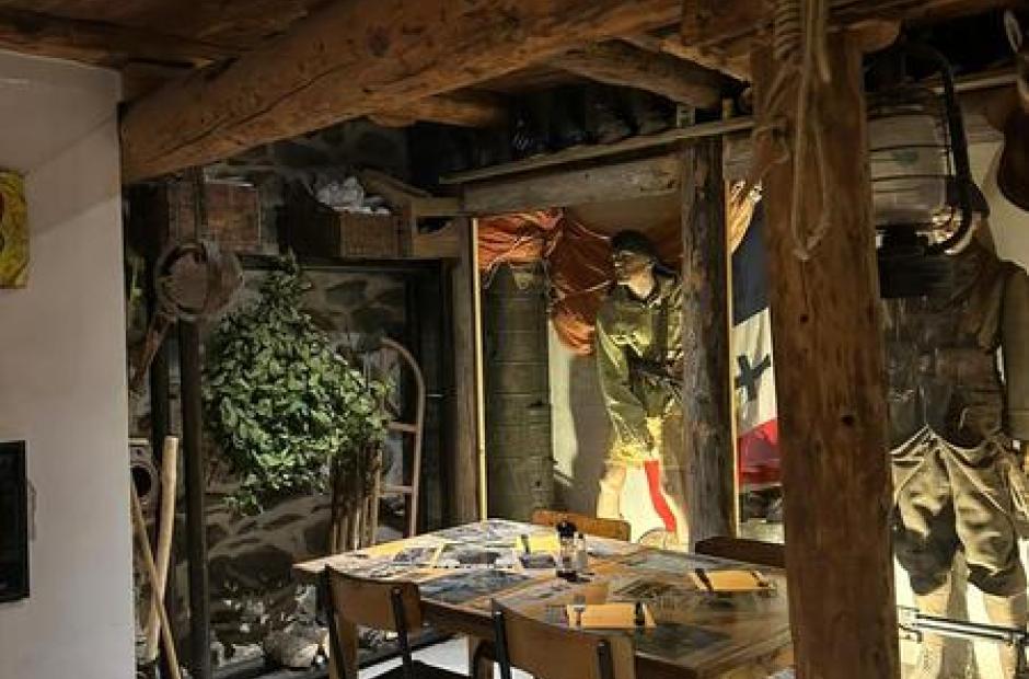 Cani-raquette nocturne - Soirée