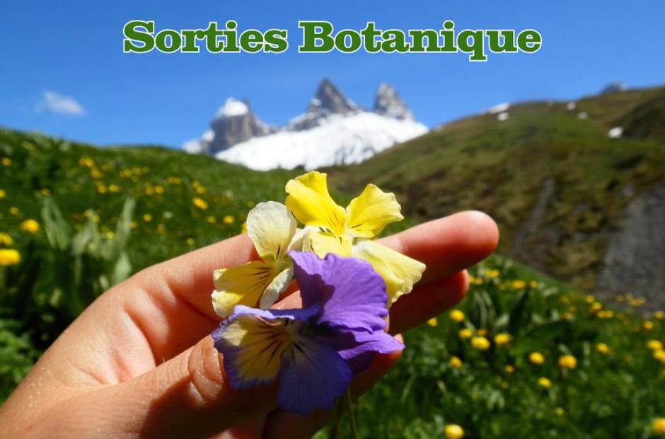 Sorties botaniques -