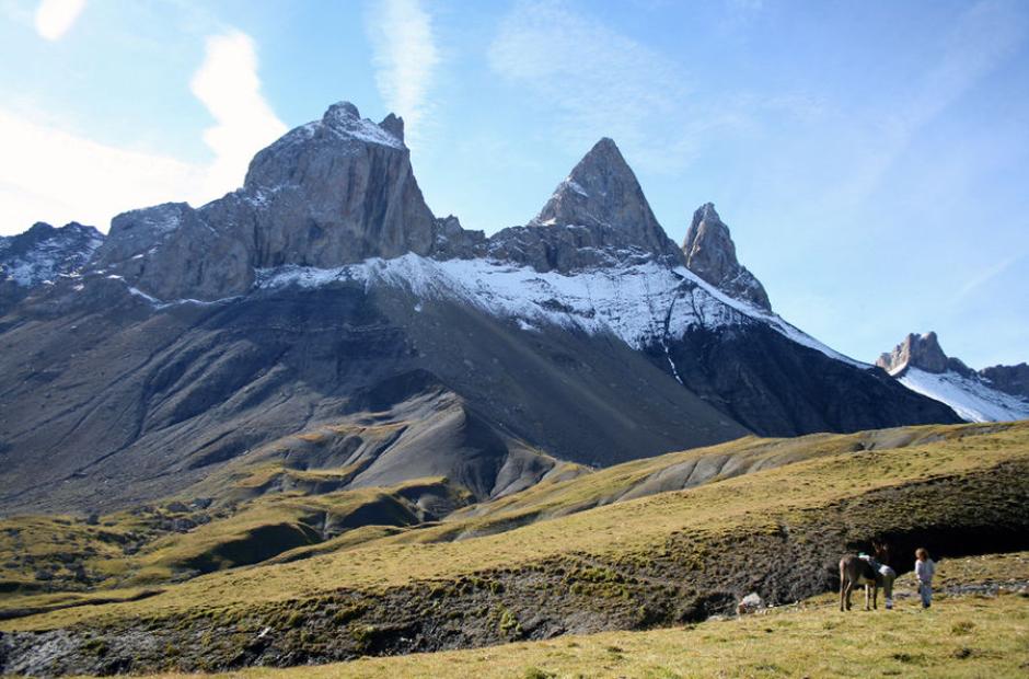Anes en montagne - Anes aux pieds des Aiguilles