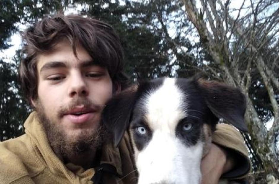 Cani balade chiens de traineaux -