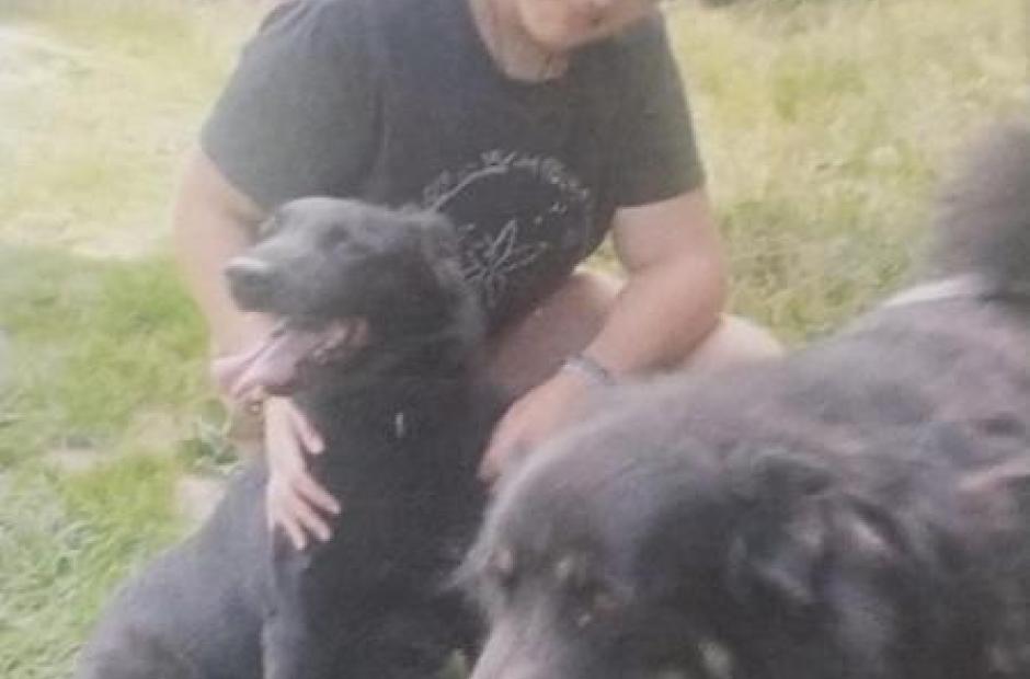Cani-balade avec chiens de traineau -