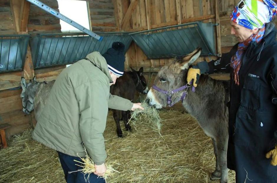 La médiation asine_Saint-Jean-d'Arves