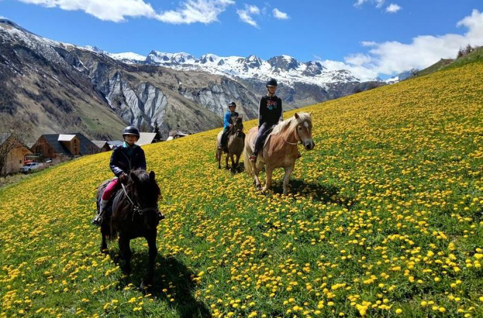 Randonnées à cheval et cours d'équitation - Randonnées à cheval