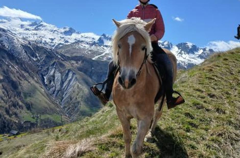Randonnées à cheval et cours d'équitation - Randonnées à cheval