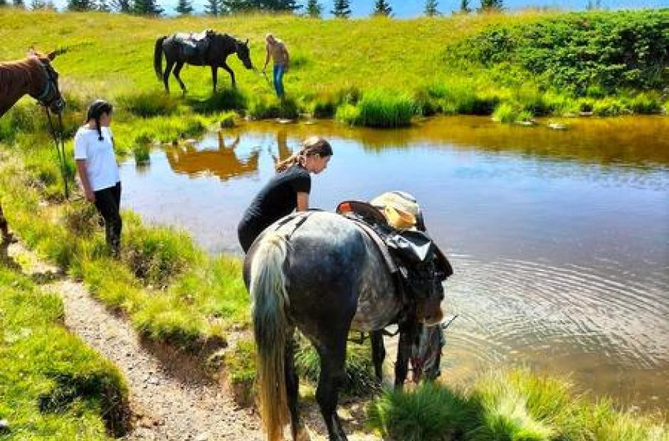 Randonnées à cheval et cours d'équitation - Randonnées à cheval