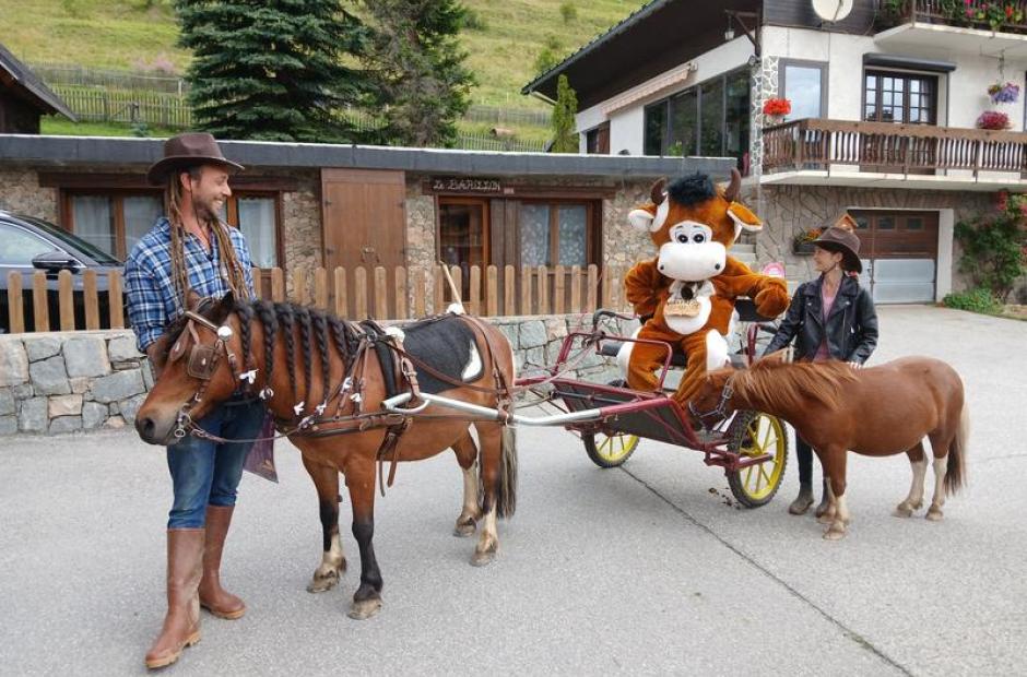 Balade à poney et stages -