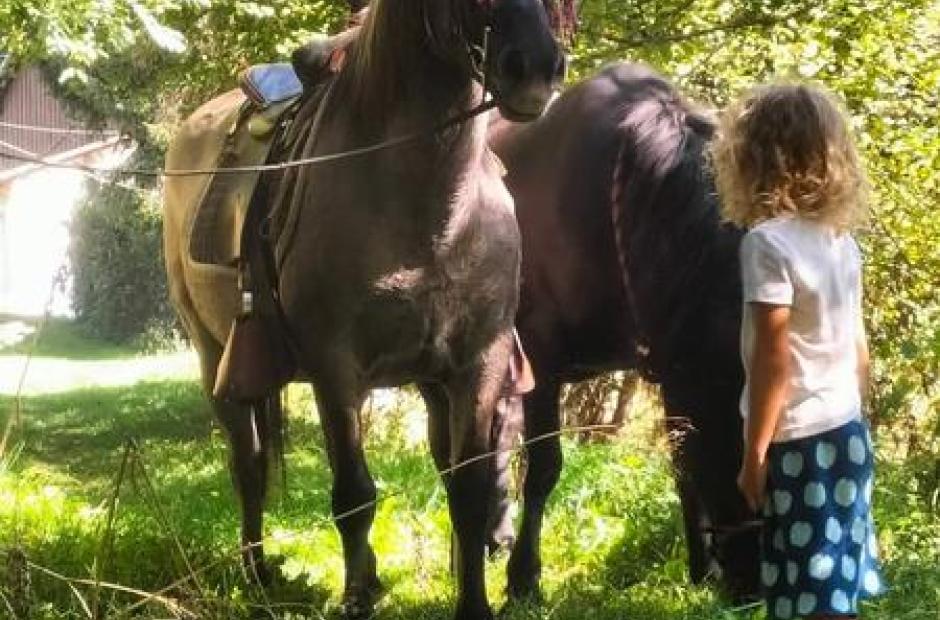Balade à poney et stages -