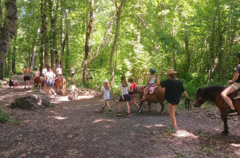 Balade à poney et stages -