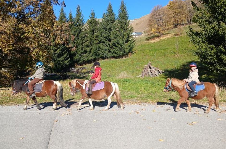 Balade à poney et stages -