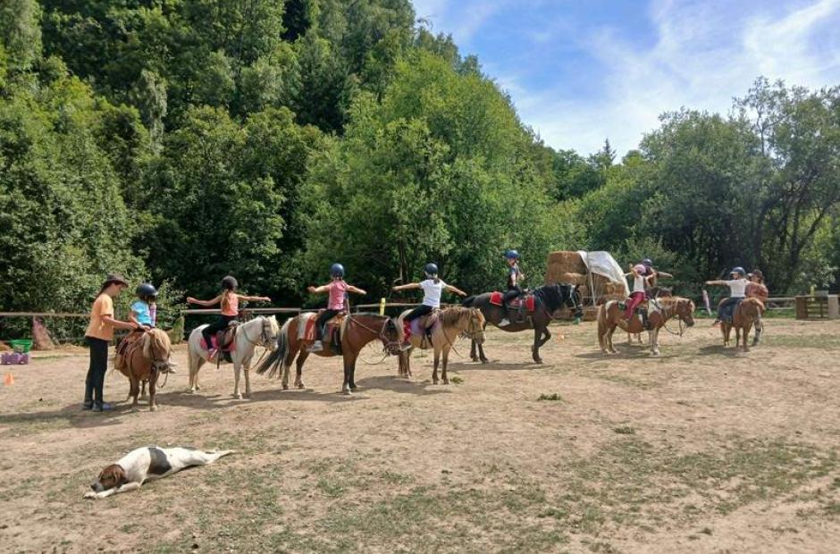 Balade à poney et stages -