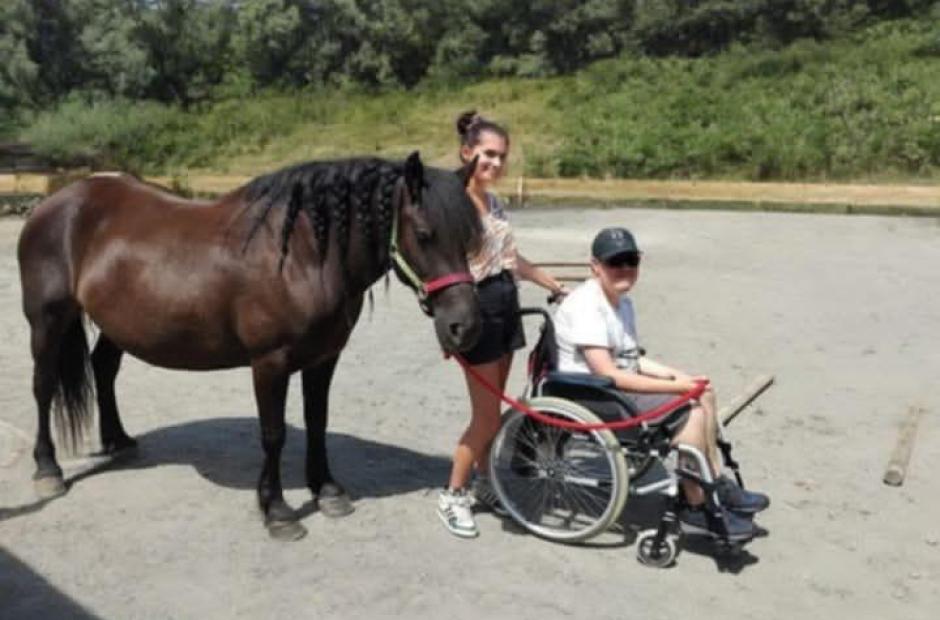 Médiation animale et accueil de personnes en situation de handicap - Médiation animale