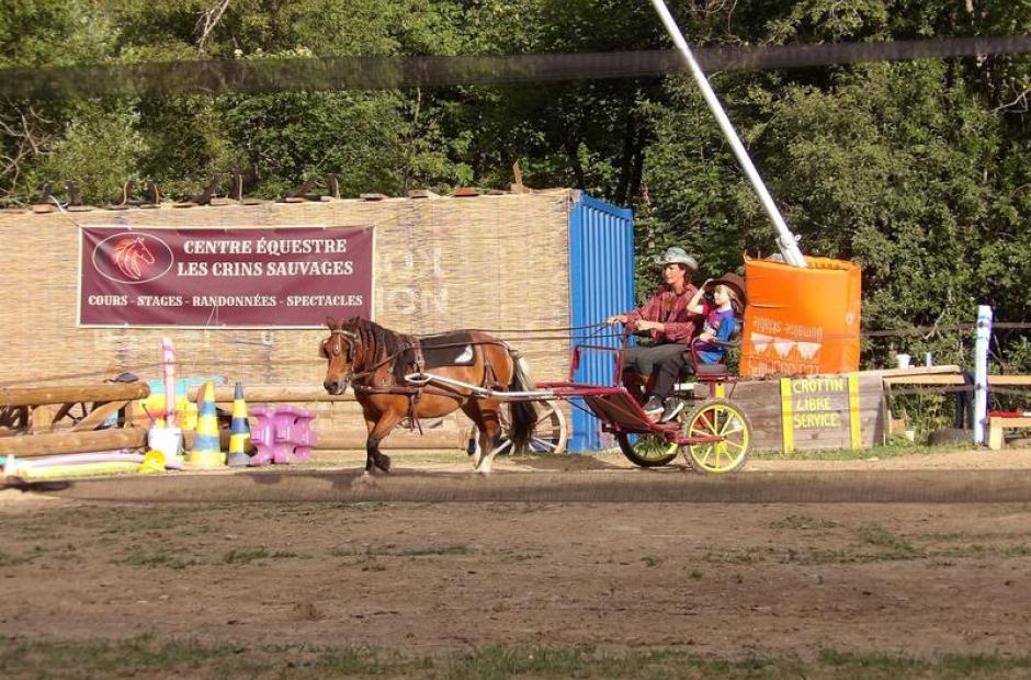 Equitation adaptée et médiation animale -