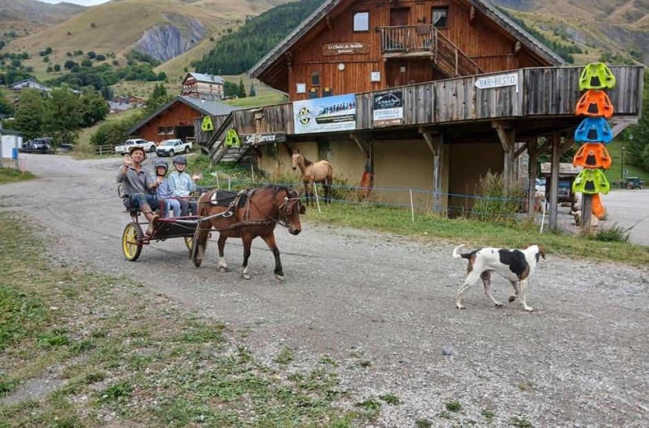Equitation adaptée et médiation animale -