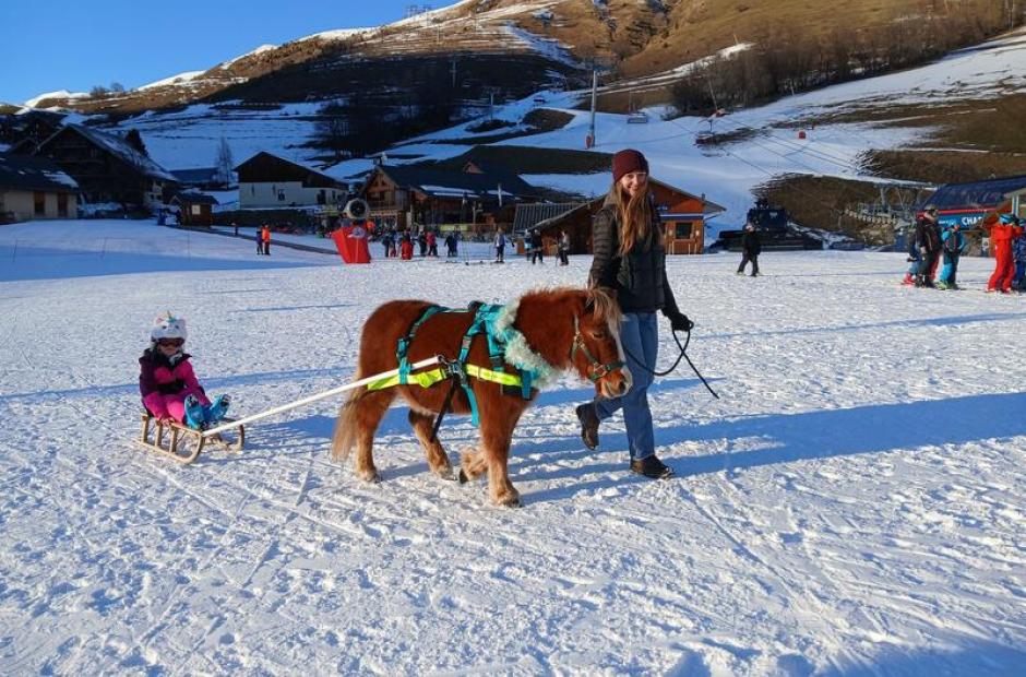 Balade à poney, Poney-luge et Ski-poney - Poney-luge