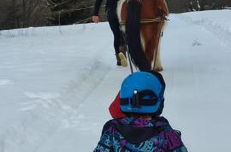 Balade à poney, Poney-luge et Ski-poney - Poney-luge