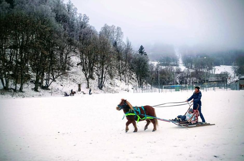 Balade à poney, Poney-luge &amp; Ski-poney -