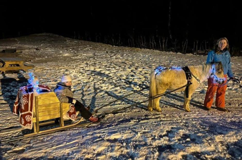 Balade à poney, Poney-luge &amp; Ski-poney -