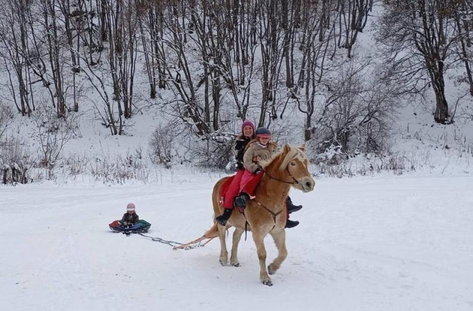 Balade à poney, Poney-luge &amp; Ski-poney -
