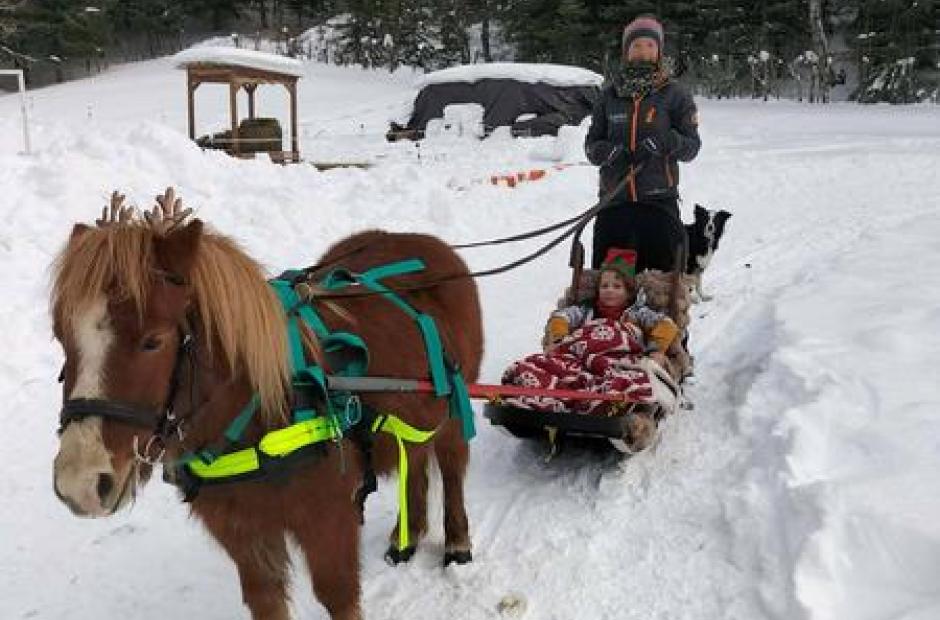 Balade à poney, Poney-luge &amp; Ski-poney -
