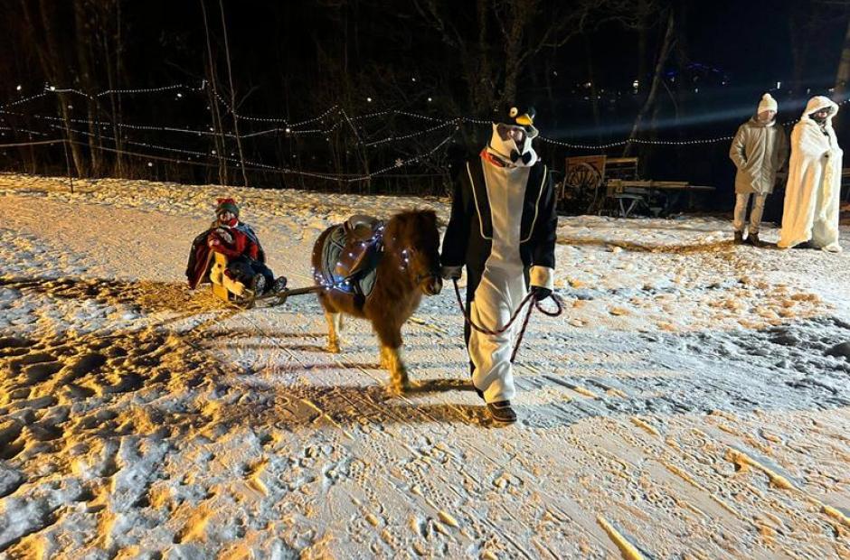 Balade à poney, Poney-luge &amp; Ski-poney -