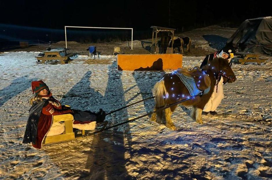 Balade à poney, Poney-luge &amp; Ski-poney -