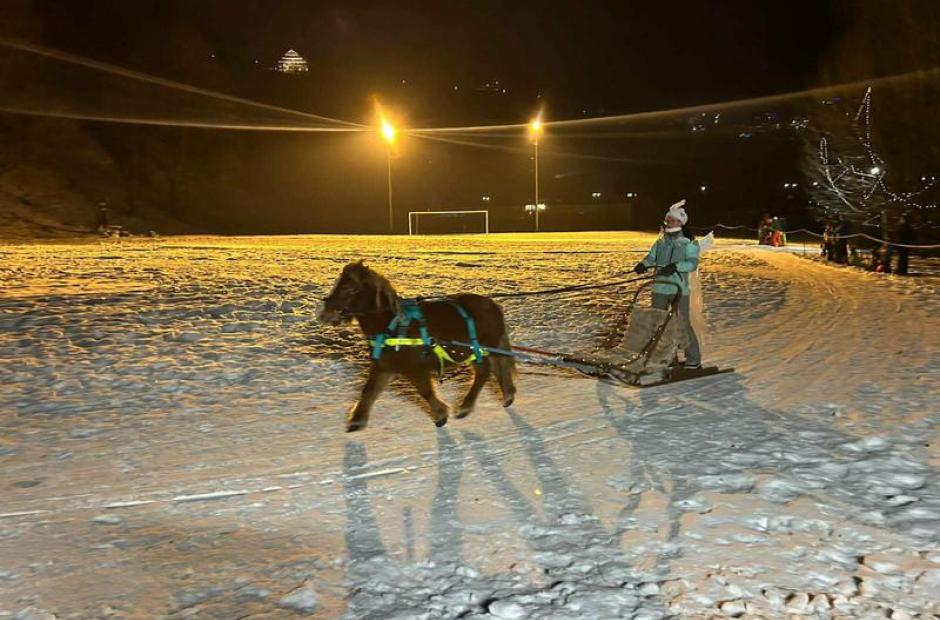 Balade à poney, Poney-luge &amp; Ski-poney -