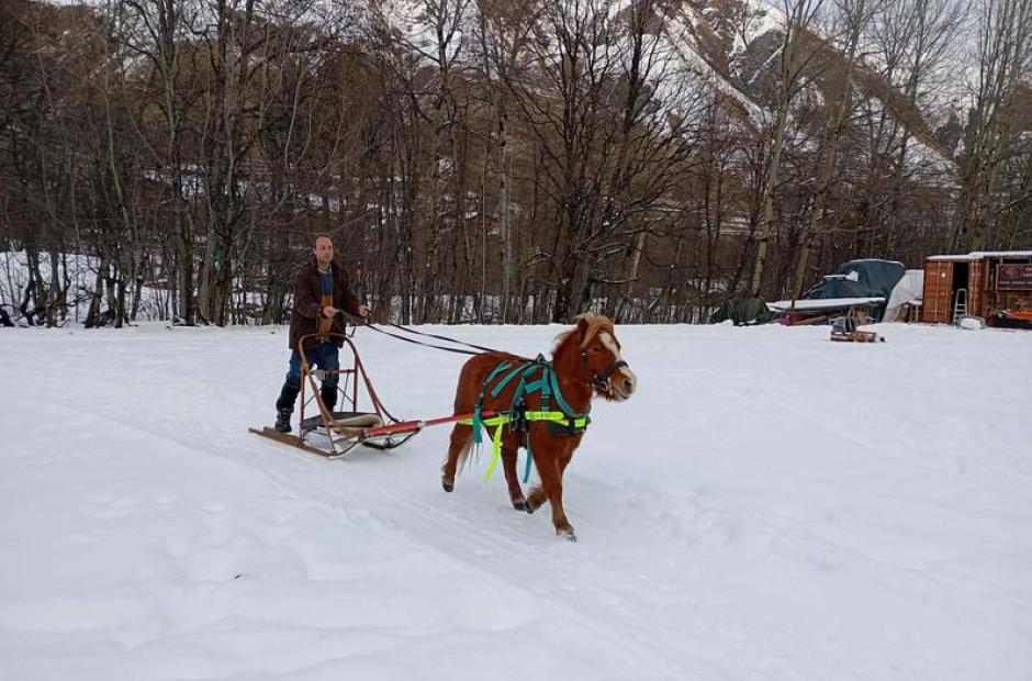 Balade à poney, Poney-luge &amp; Ski-poney -