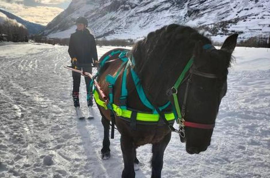 Randonnées à cheval et ski-joering -