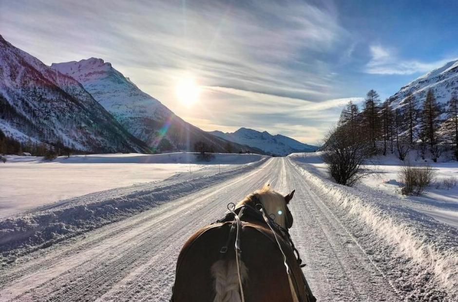 Randonnées à cheval et ski-joering -