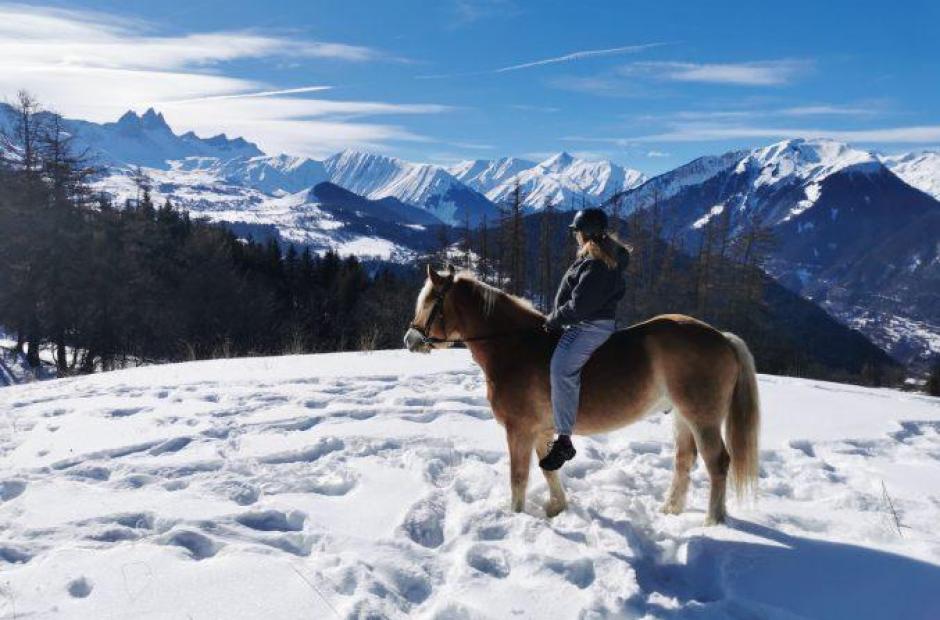 Randonnées à cheval et ski-joering -