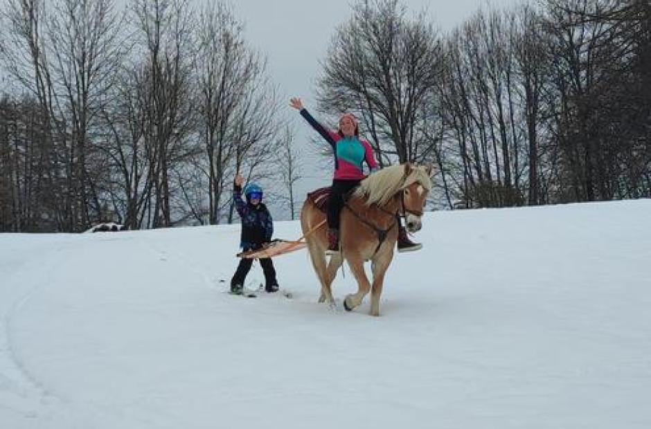 Randonnées à cheval et ski-joering -