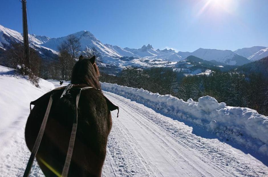 Randonnées à cheval et ski-joering -